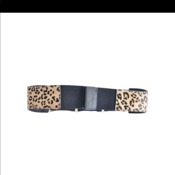 BCBG animal print belt main image 5